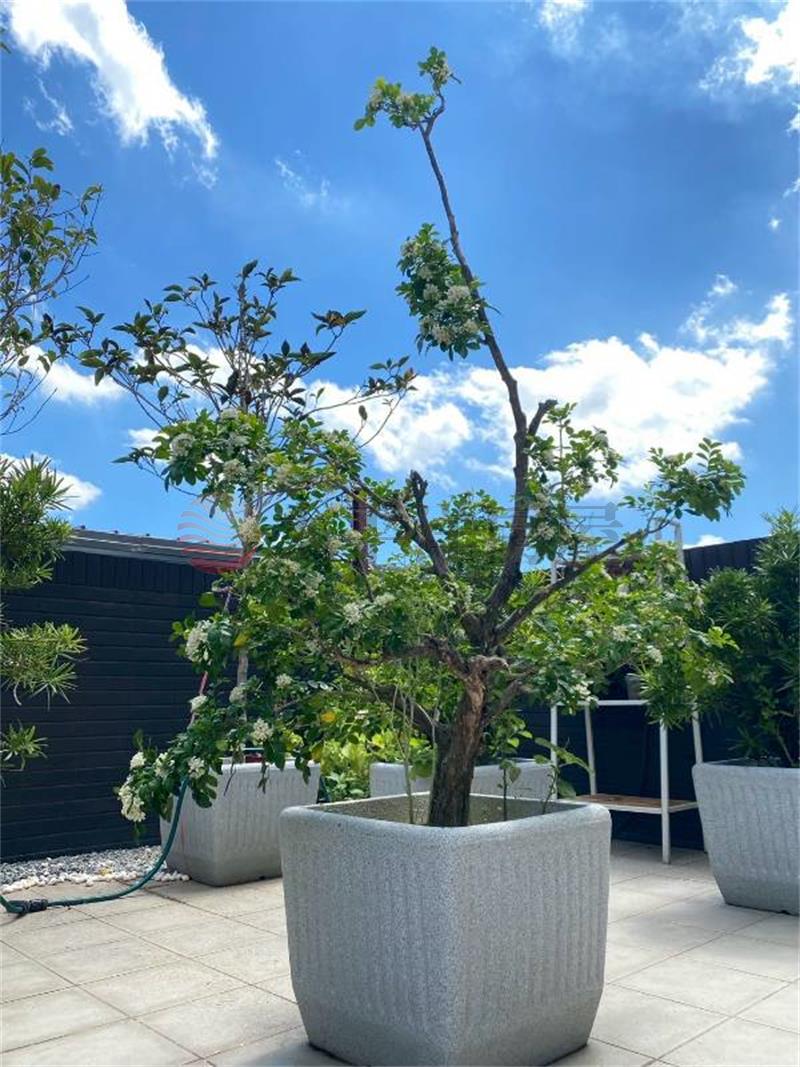 五股買房賣屋SKY1露台優美兩房車,新北市五股區新五路三段