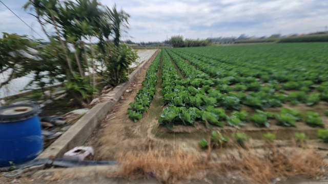 泰山買房賣屋善化五分農地,台南市善化區東勢寮段