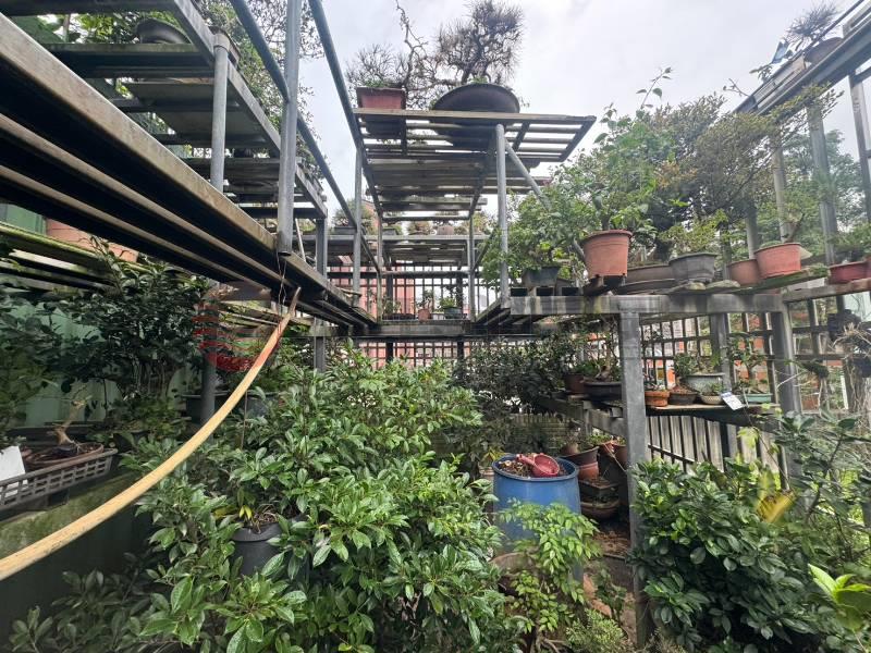 五股買房賣屋德音學區多層使用公寓,新北市五股區明德路