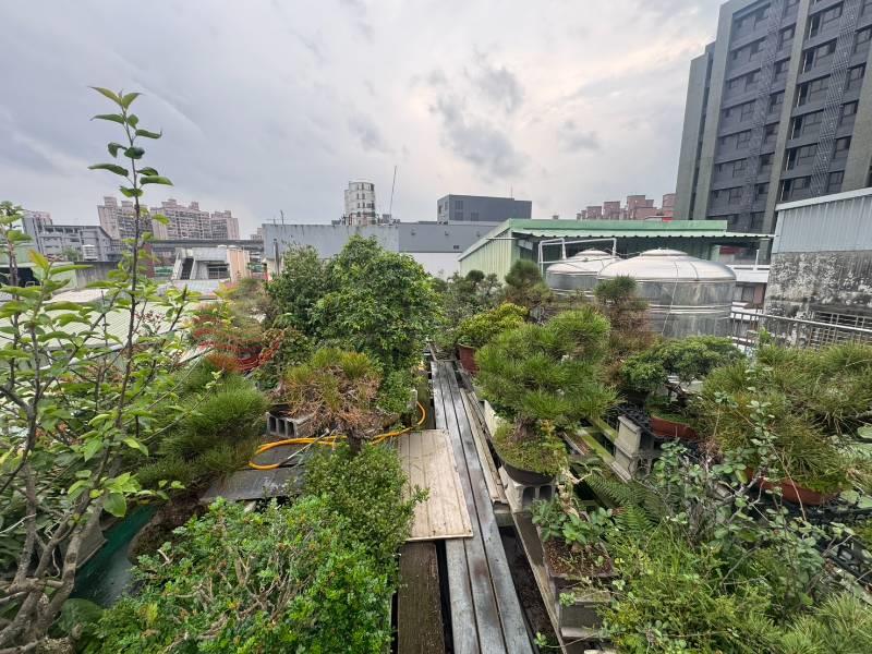 五股買房賣屋德音學區多層使用公寓,新北市五股區明德路