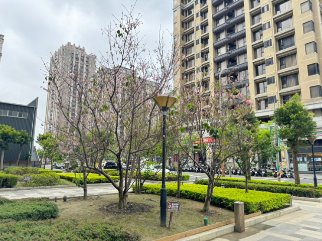 五股買房賣屋重劃區中心邊間四房車,新北市五股區芳洲八路